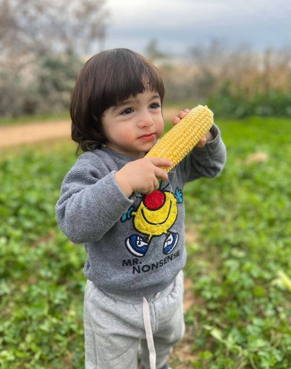 תמונה של קלחים ומבוכים: חוויה חקלאית לכל המשפחה - למטייל בישראל (טיולי)